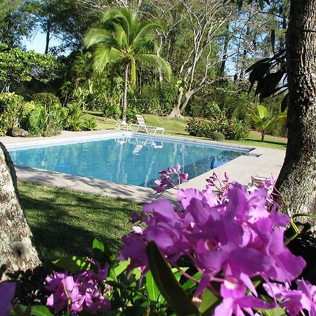 Hotel Quinta Celeste à La Garita  Extérieur photo