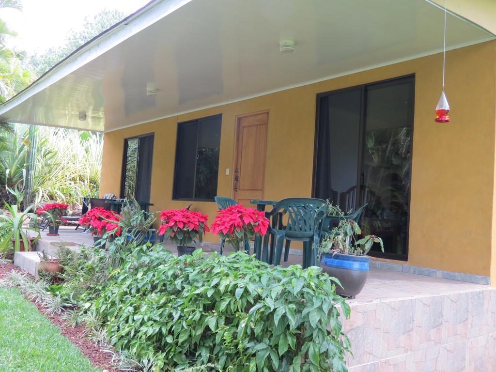 Hotel Quinta Celeste à La Garita  Extérieur photo